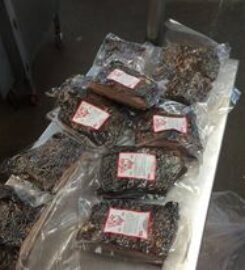 Texas Best BBQ & Burgers