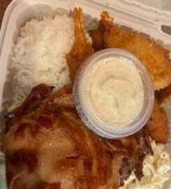 Halo Hawaiian BBQ & Poke Bar