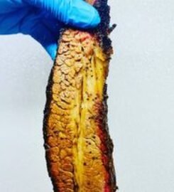 Yearby’s BBQ & Waterice