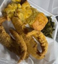 Rossler’s Blue Cord Barbecue