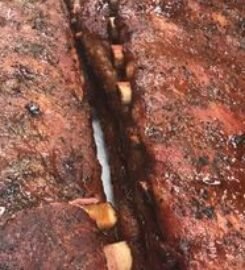 Shorty’s BBQ